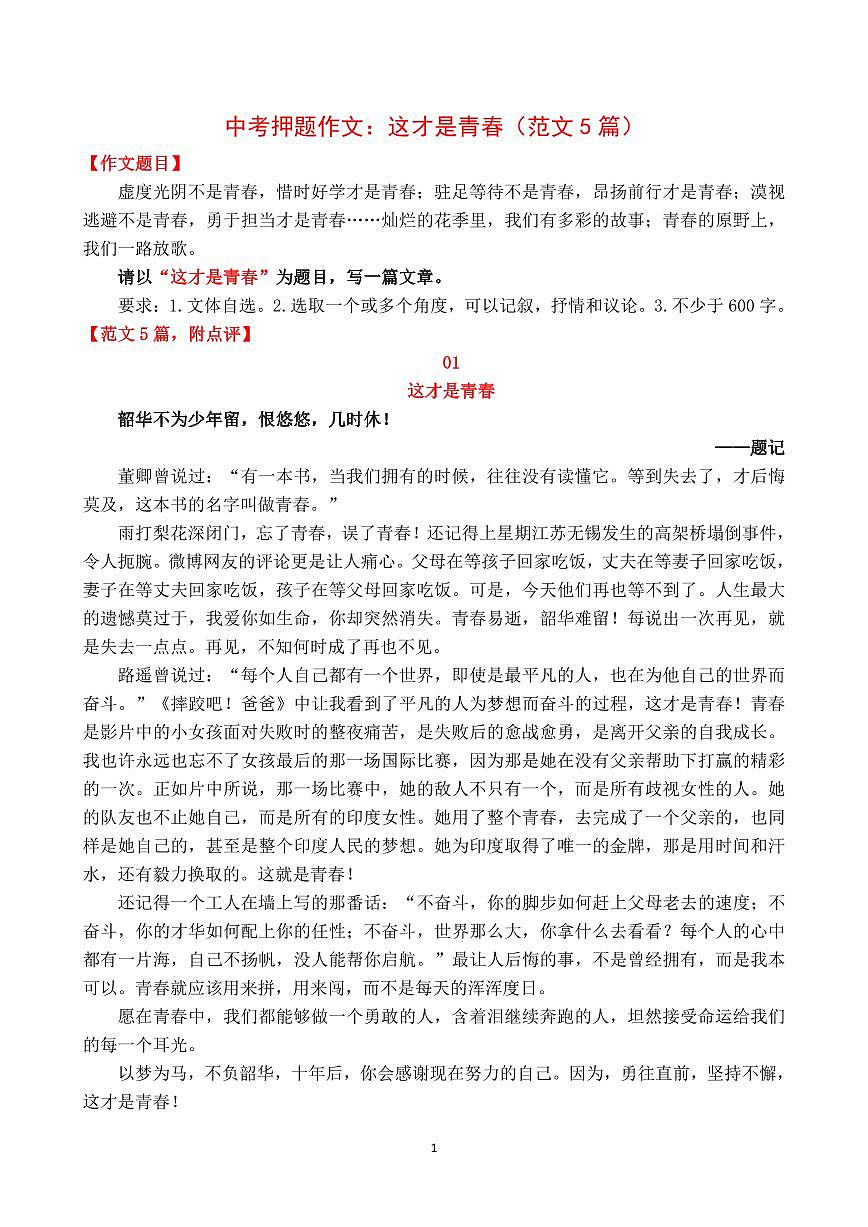 中考语文第一轮复习作文：这才是青春（范文5篇）知识点第1页