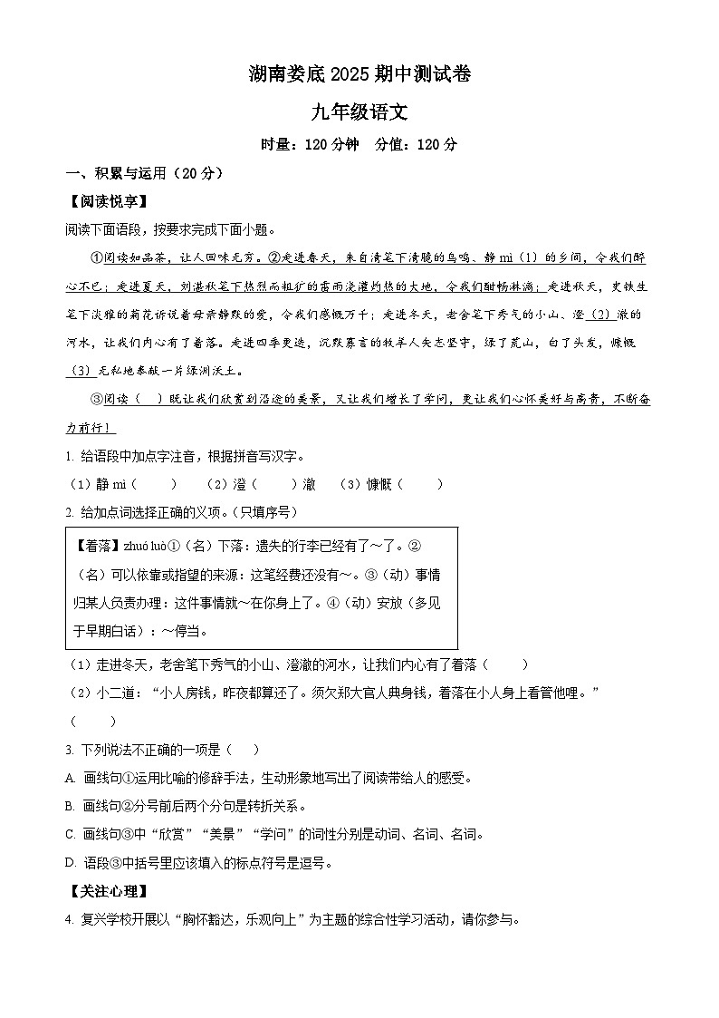 精品解析：湖南省娄底市2024-2025学年九年级下学期期中语文试题（原卷版）第1页
