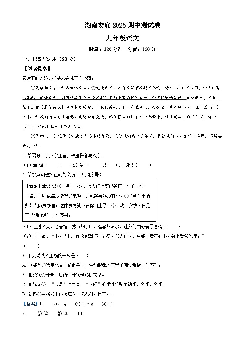 精品解析：湖南省娄底市2024-2025学年九年级下学期期中语文试题（解析版）第1页