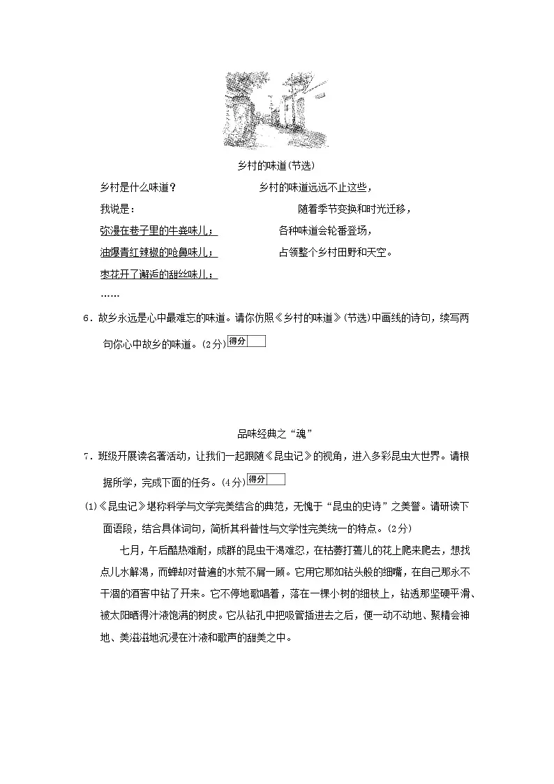 2026人教部编版八年级语文下册第六单元新课标全国命题趋势试卷（含答案）第3页