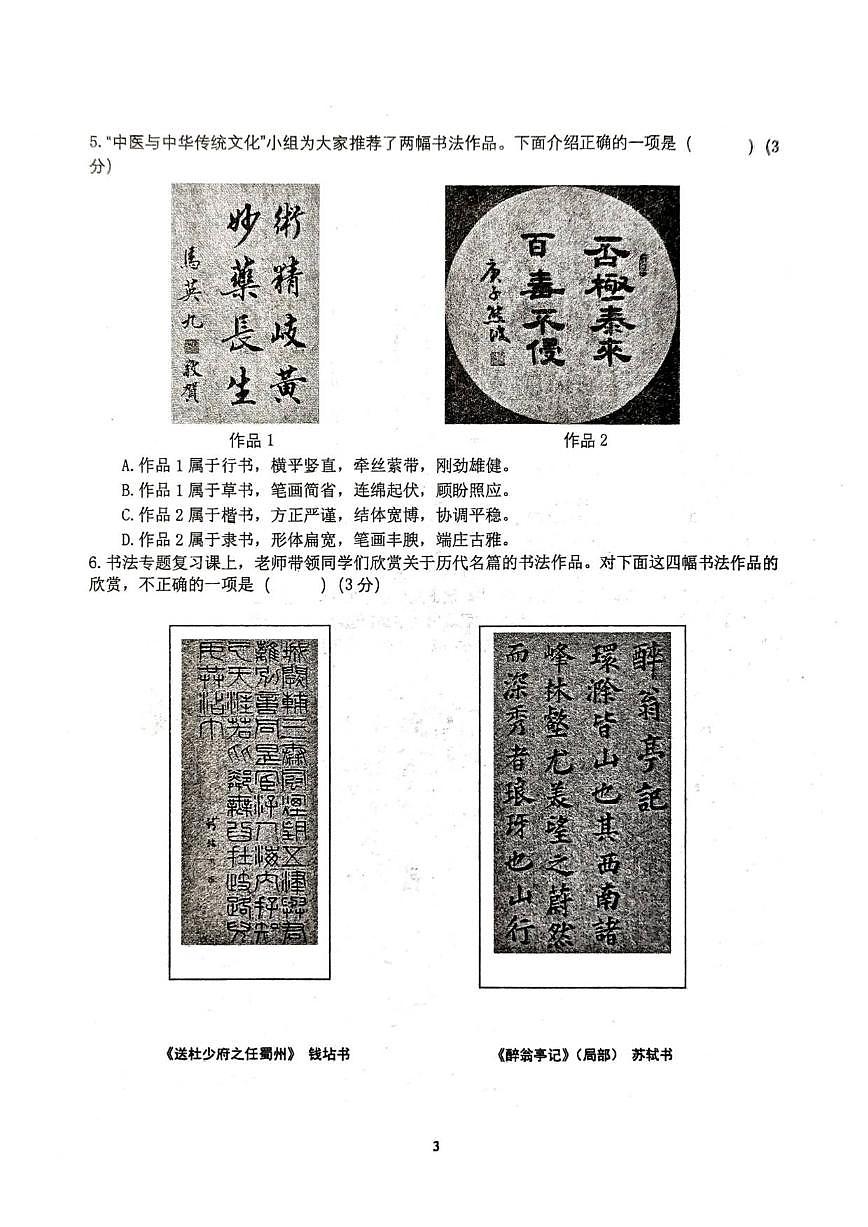 北京师范大学附属中学2025-2026学年九年级上学期统练十二语文试卷（无答案）第3页