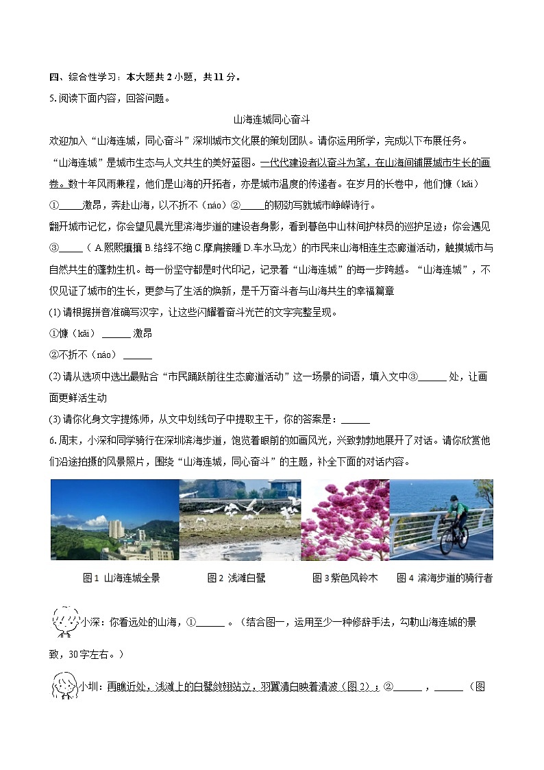 2025-2026学年广东省深圳中学八年级（上）期末语文试卷(含详细答案解析)第3页