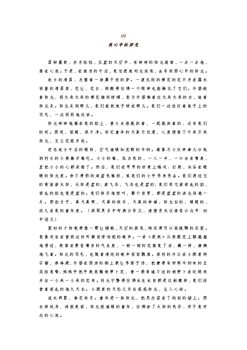 初中语文中考语文第一轮复习知识点中考满分作文：《我心中的阳光》（范文3篇，可打印）第1页