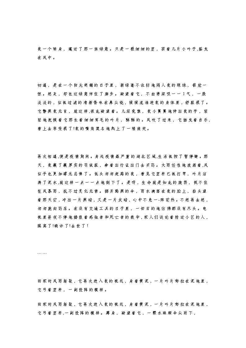 初中语文中考语文第一轮复习知识点中考满分作文：《见证美好》（范文6篇+解读，可打印）第3页