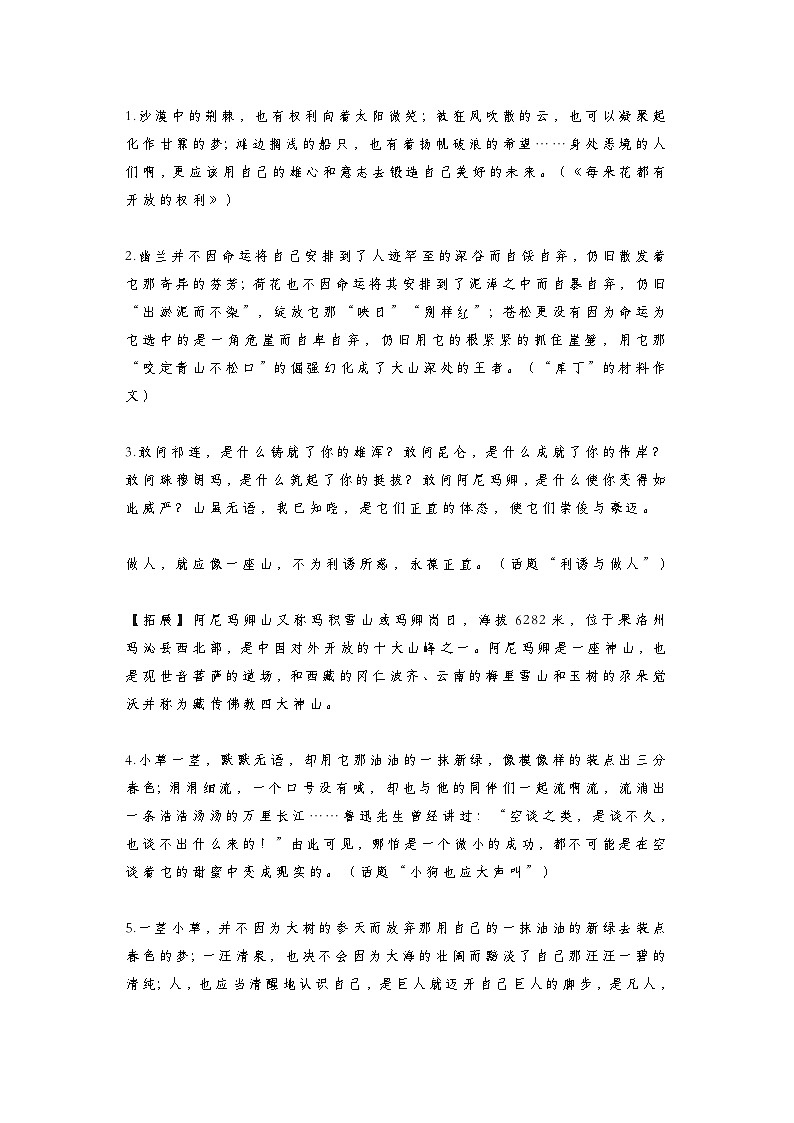 初中中考语文第一轮复习100个优秀作文开头知识点第1页