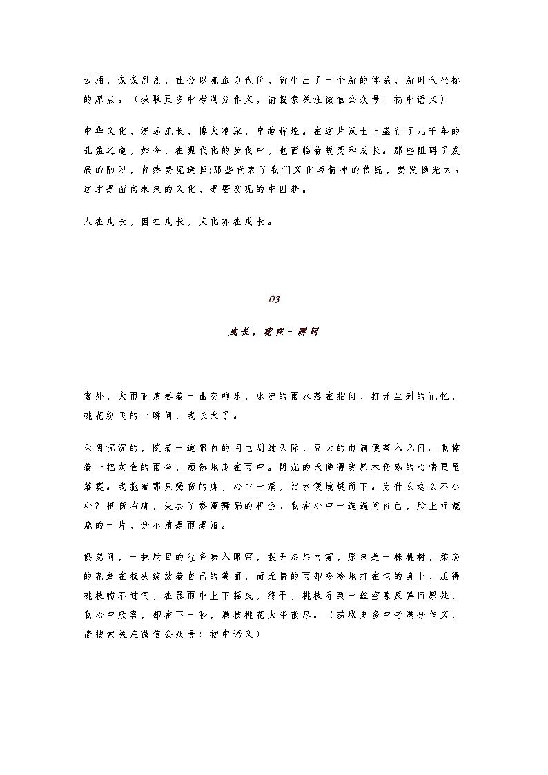 初中语中考中考语文第一轮复习知识点满分作文知识点《成长》（范文10篇）第3页
