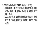 2《说和做——闻一多先生言行片段》作业课件