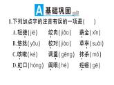 3《回忆鲁迅先生（节选）》作业课件