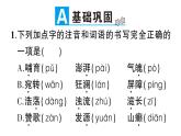 5《黄河颂》作业课件