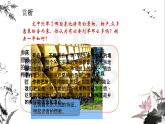 7.2《土地的誓言》课件