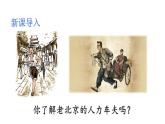 第三单元 名著导读《骆驼祥子》圈点与批注 课件