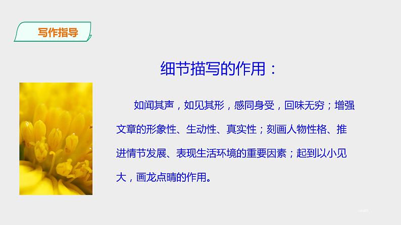 第三单元《写作——抓住细节》课件第5页