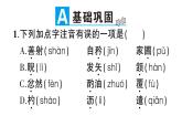 12 卖油翁 作业课件