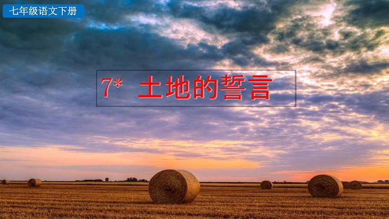 7 土地的誓言 课件第2页