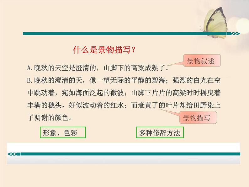 写作：学习描写景物 课件04