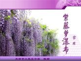 17 紫藤萝瀑布 课件