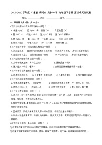 初中语文人教部编版九年级下册第三单元单元综合与测试优秀单元测试练习