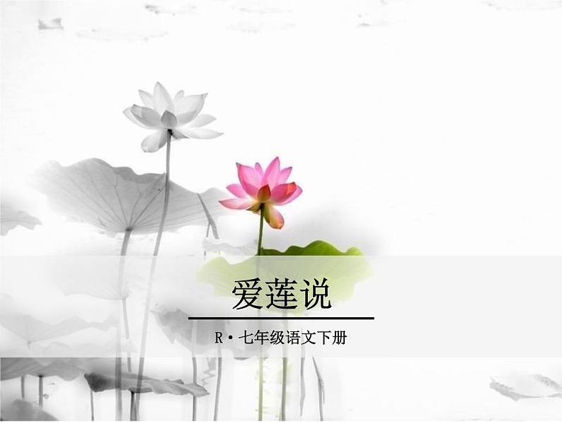 《爱莲说》ppt课件_部编版七年级下册01