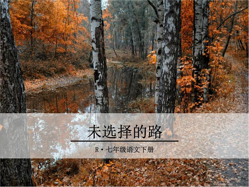 19《未选择的路》ppt课件_部编版七年级下册第1页