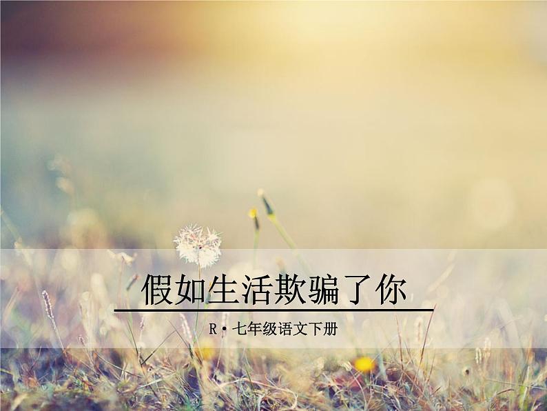 19《假如生活欺骗了你》ppt课件_部编版七年级下册01