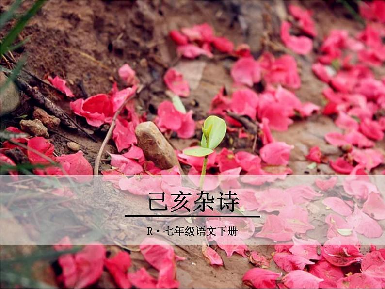 20《己亥杂诗》ppt课件_部编版七年级下册01