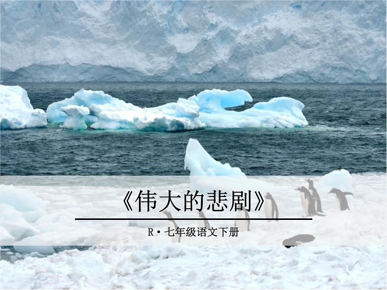 21《 伟大的悲剧》ppt课件_部编版七年级下册01