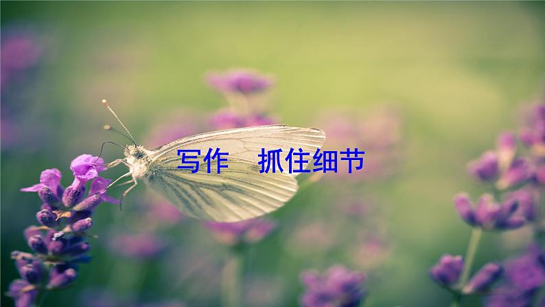 第三单元《写作  抓住细节》ppt课件_部编版七年级下册01