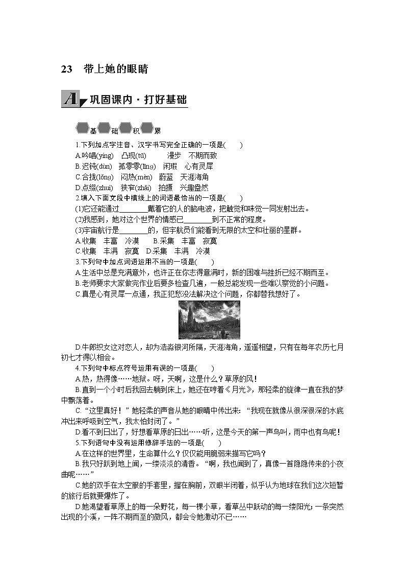 23 带上她的眼睛 导学案01