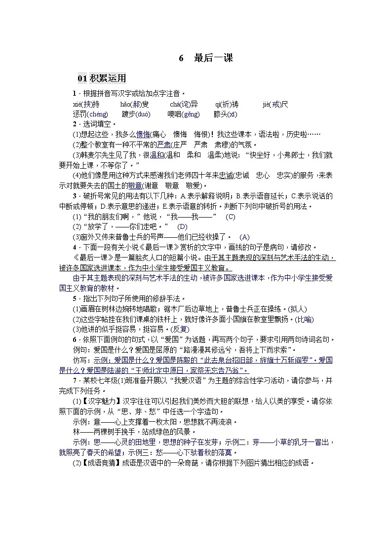 6 最后一课同步练习题 (含答案解析)第1页