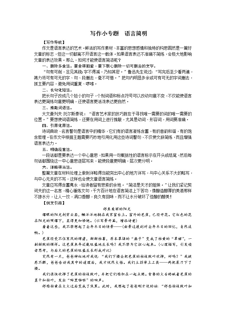写作小专题 语言简明同步习题（学生版）01