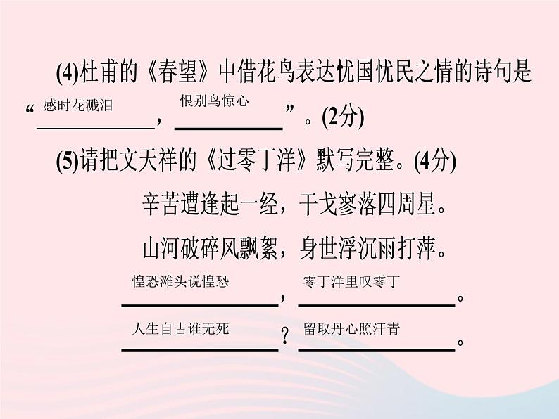 广东专用中考语文高分突破满分特训课件903