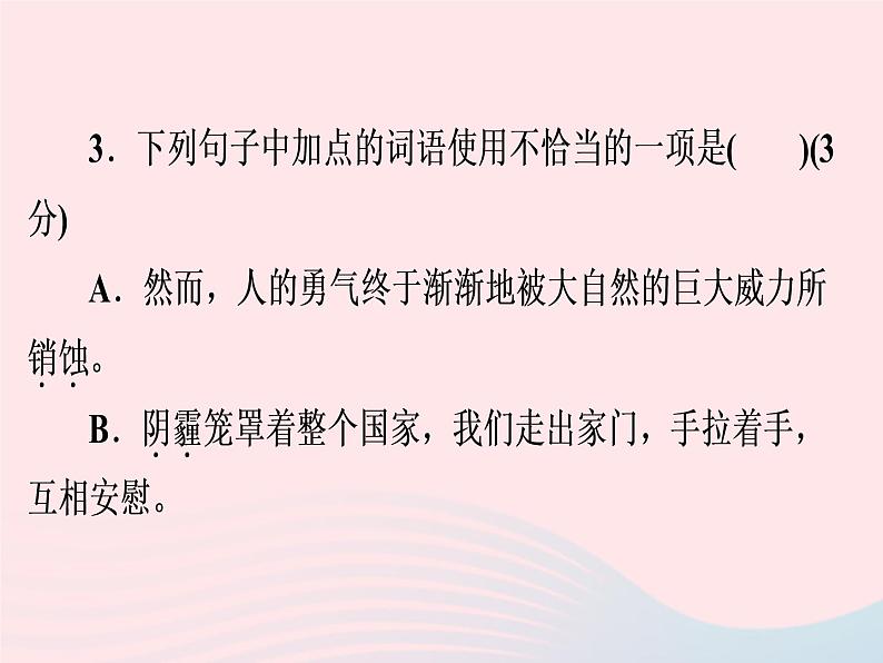 广东专用中考语文高分突破满分特训课件1205