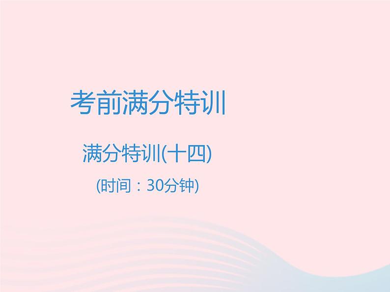 广东专用中考语文高分突破满分特训课件1401