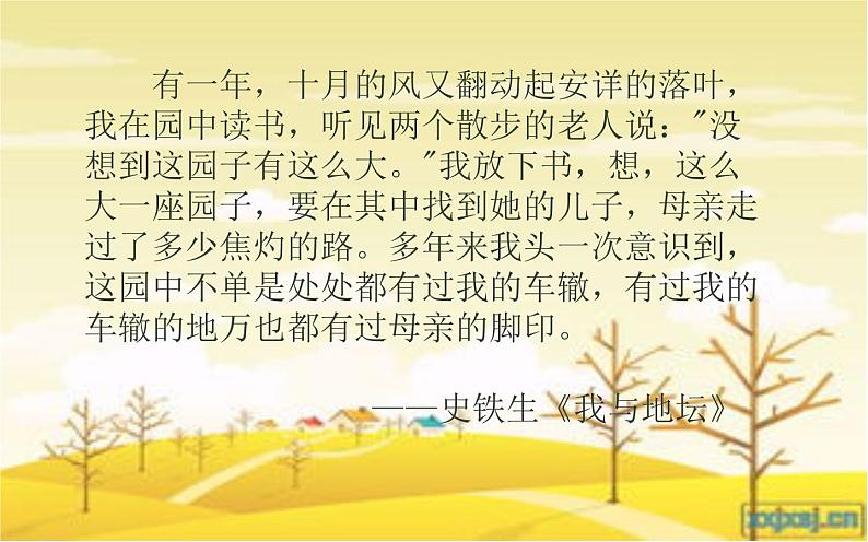 5《秋天的怀念》课件第3页