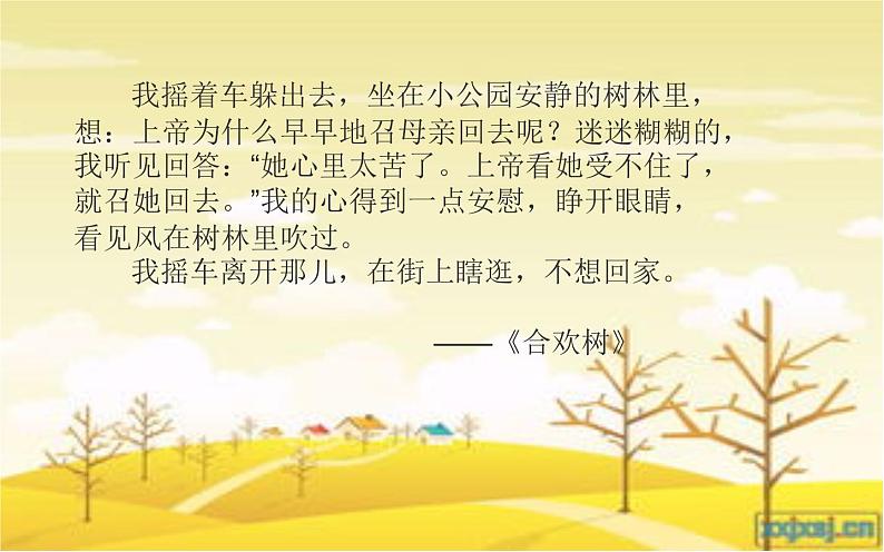 5《秋天的怀念》课件第5页