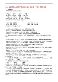 初中语文人教部编版九年级下册第五单元单元综合与测试精练