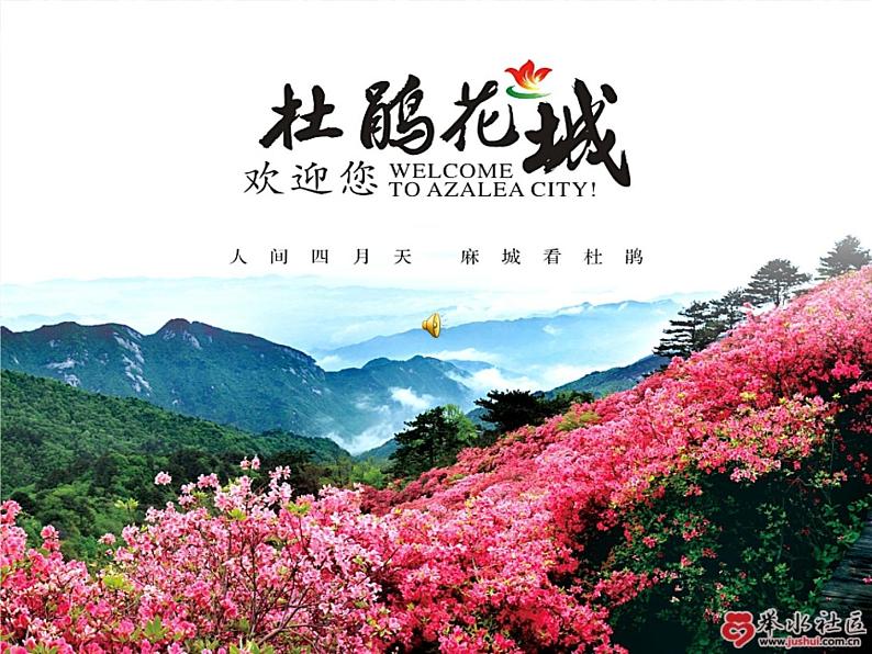 中考古诗词赏析（讲课版） 课件01