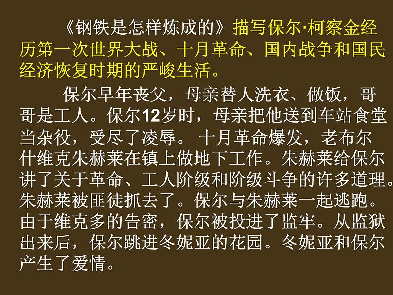 名著导读《钢铁是怎样炼成的》 课件06