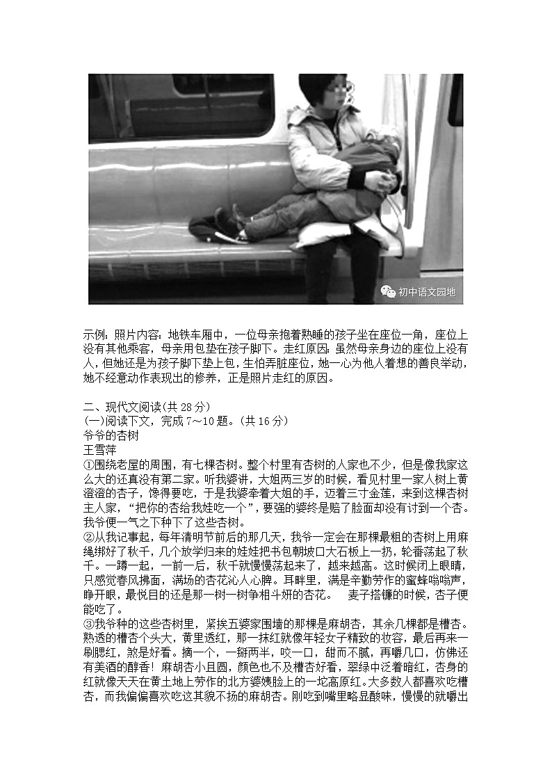 部编版九年级（下）第五单元测试卷03