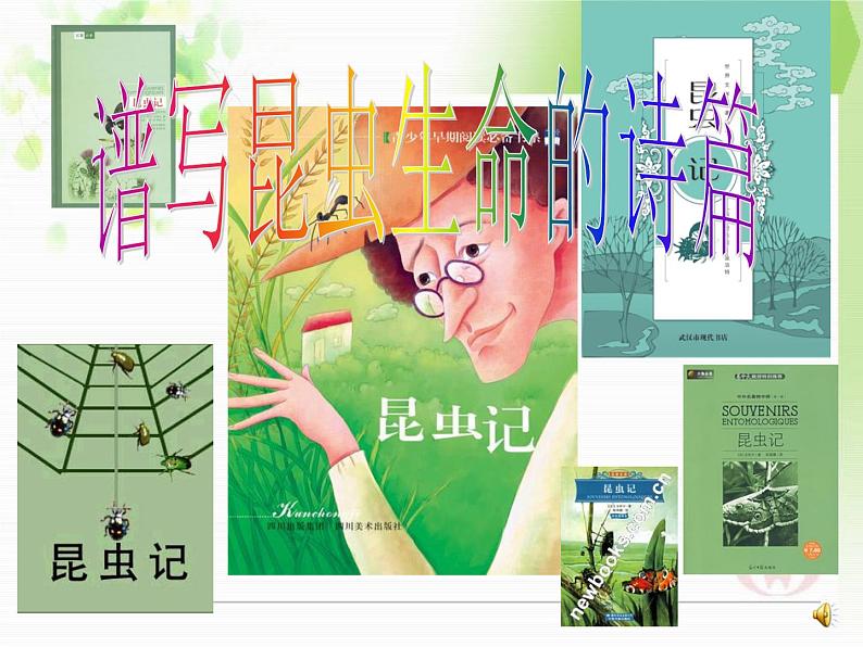 名著导读《昆虫记》课件02