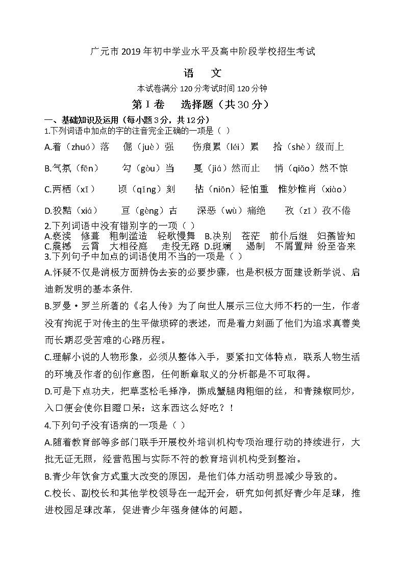 2019年四川省广元市中考语文试卷（含解析）第1页