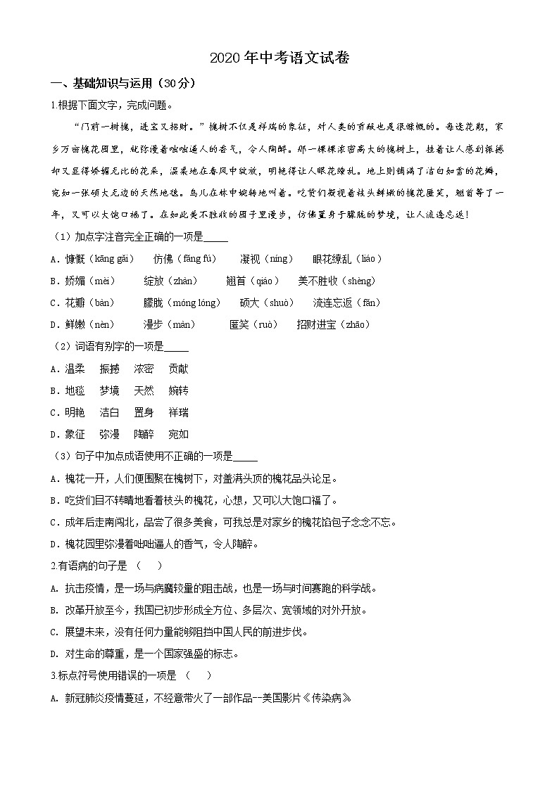2020年中考语文试题一（附答案）第1页