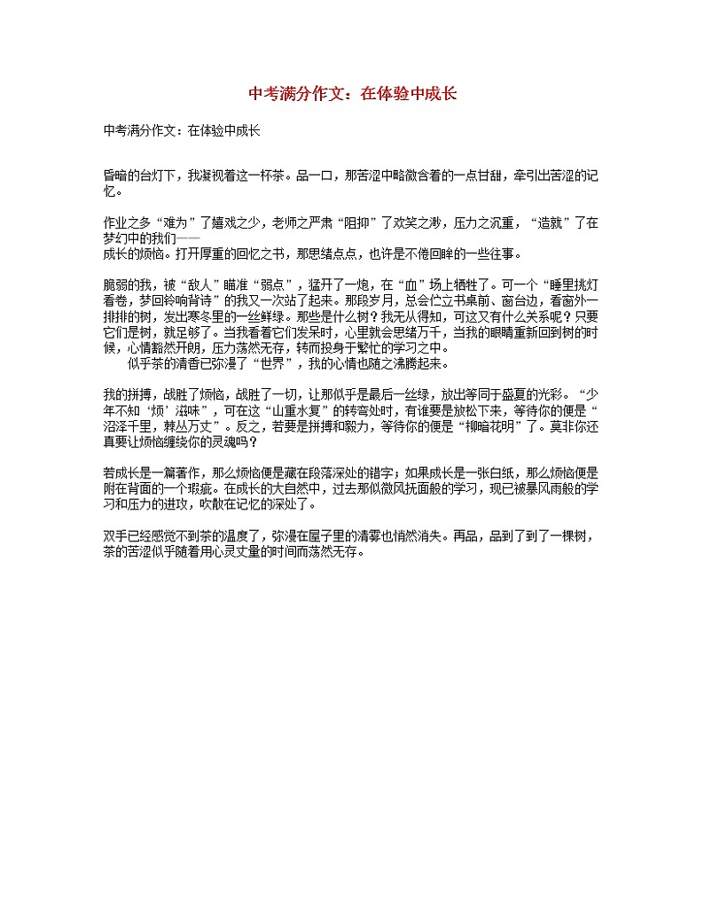 中考语文满分作文在体验中成长第1页