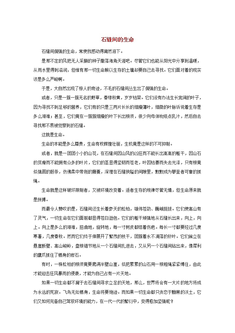 中考语文冲刺经典阅读石缝间的生命素材第1页
