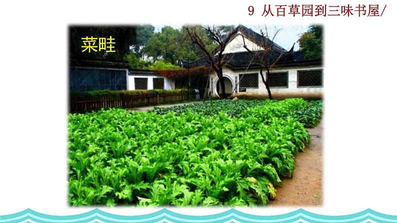 9《 从百草园到三味书屋》课件第1页