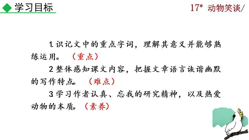 17《动物笑谈》课件第4页