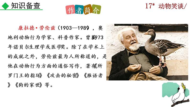 17《动物笑谈》课件第5页