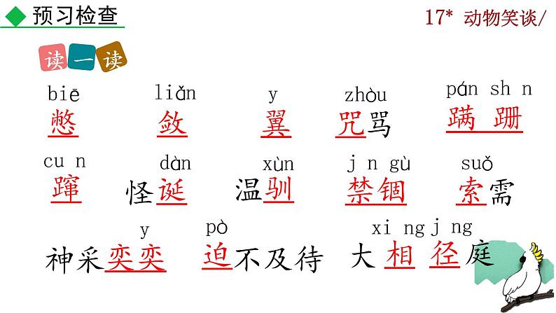 17《动物笑谈》课件第8页