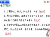 16《猫》课件