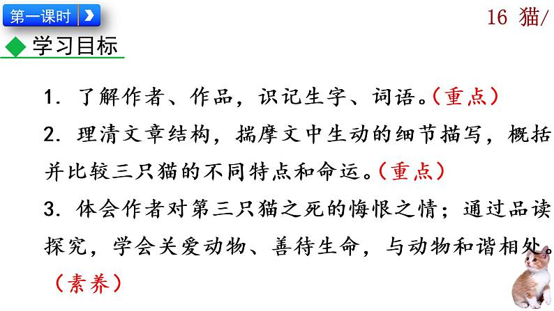 16《猫》课件04